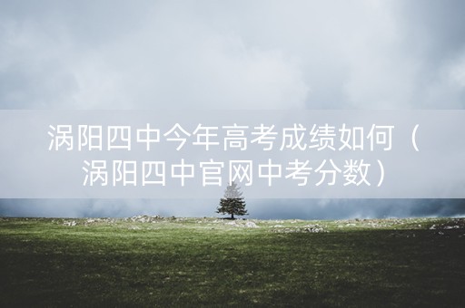 涡阳四中今年高考成绩如何（涡阳四中官网中考分数）