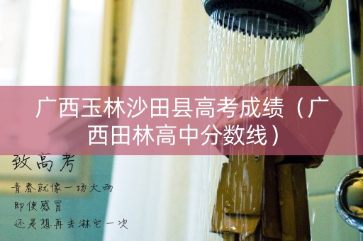 广西玉林沙田县高考成绩（广西田林高中分数线）
