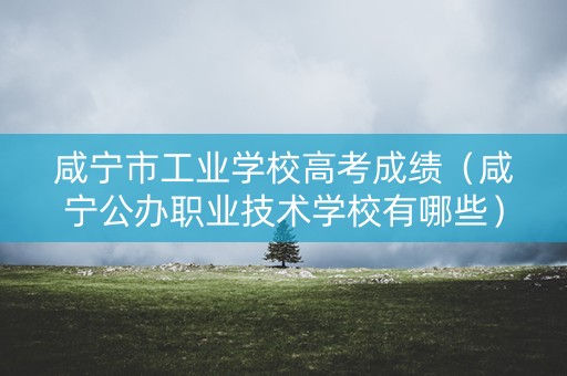 咸宁市工业学校高考成绩（咸宁公办职业技术学校有哪些）