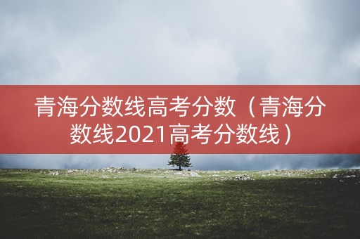 青海分数线高考分数（青海分数线2021高考分数线）