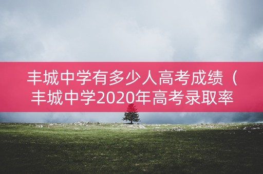 丰城中学有多少人高考成绩（丰城中学2020年高考录取率）