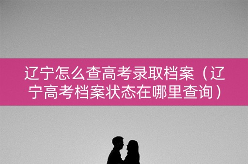 辽宁怎么查高考录取档案（辽宁高考档案状态在哪里查询）