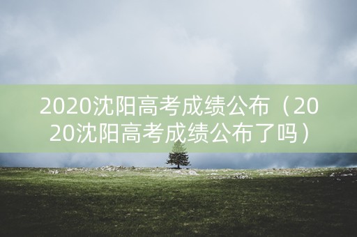 2020沈阳高考成绩公布（2020沈阳高考成绩公布了吗）
