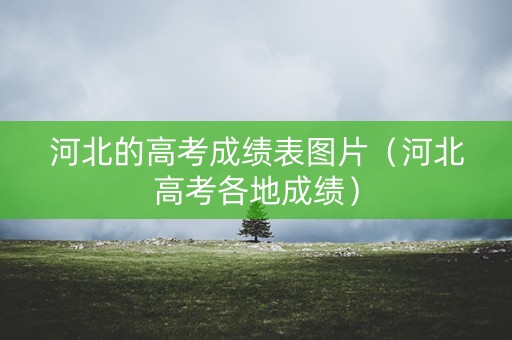 河北的高考成绩表图片（河北高考各地成绩）