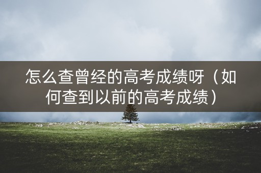 怎么查曾经的高考成绩呀（如何查到以前的高考成绩）