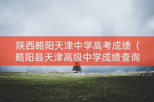 陕西略阳天津中学高考成绩（略阳县天津高级中学成绩查询）
