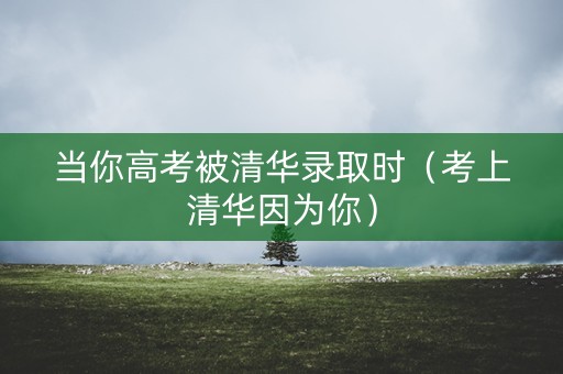 当你高考被清华录取时（考上清华因为你）