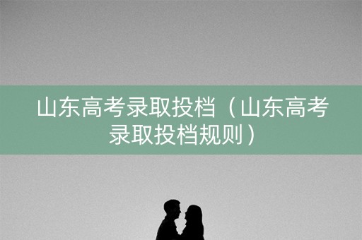 山东高考录取投档（山东高考录取投档规则）