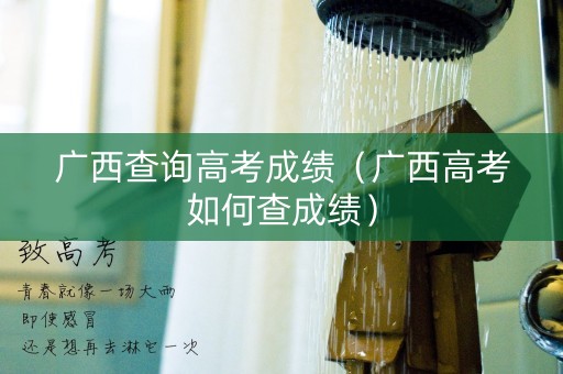 广西查询高考成绩（广西高考如何查成绩）