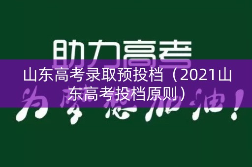 山东高考录取预投档（2021山东高考投档原则）