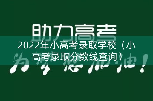 2022年小高考录取学校（小高考录取分数线查询）