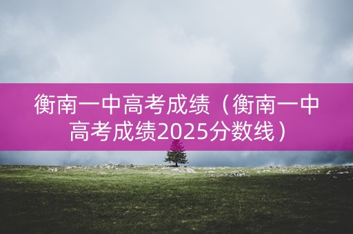 衡南一中高考成绩（衡南一中高考成绩2025分数线）