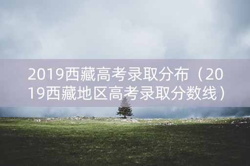 2019西藏高考录取分布（2019西藏地区高考录取分数线）