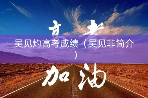 吴见灼高考成绩（吴见非简介）