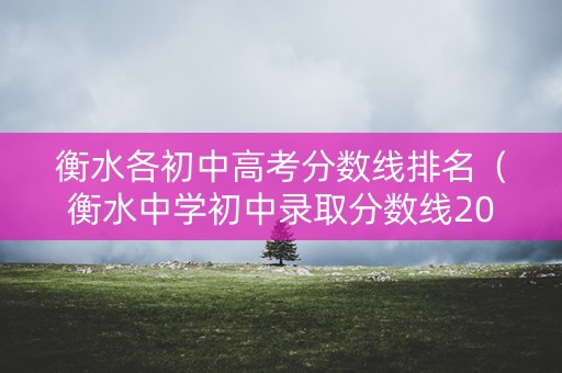衡水各初中高考分数线排名（衡水中学初中录取分数线2021）