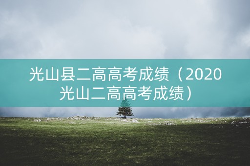光山县二高高考成绩（2020光山二高高考成绩）