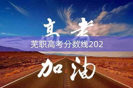 芜职高考分数线202