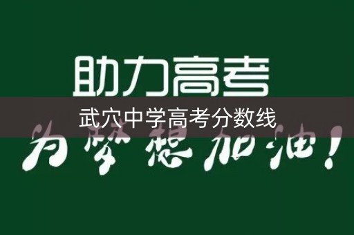 武穴中学高考分数线