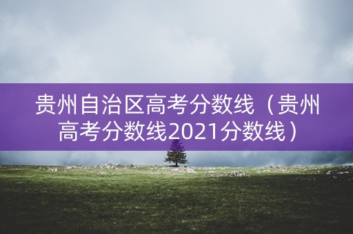 贵州自治区高考分数线（贵州高考分数线2021分数线）