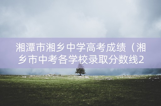 湘潭市湘乡中学高考成绩（湘乡市中考各学校录取分数线2021）