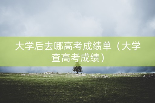 大学后去哪高考成绩单（大学查高考成绩）