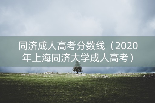 同济成人高考分数线（2020年上海同济大学成人高考）