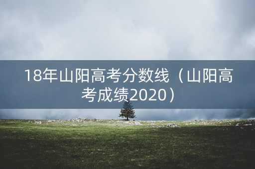 18年山阳高考分数线（山阳高考成绩2020）