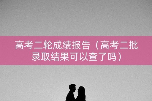 高考二轮成绩报告（高考二批录取结果可以查了吗）