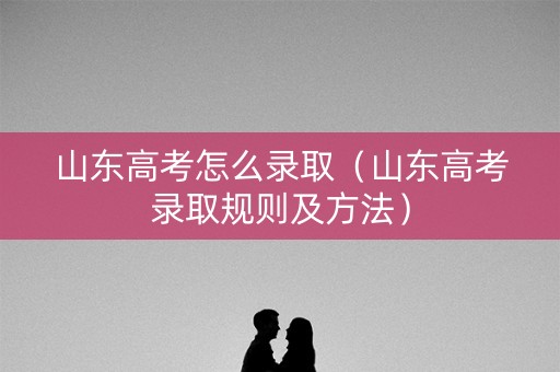 山东高考怎么录取（山东高考录取规则及方法）