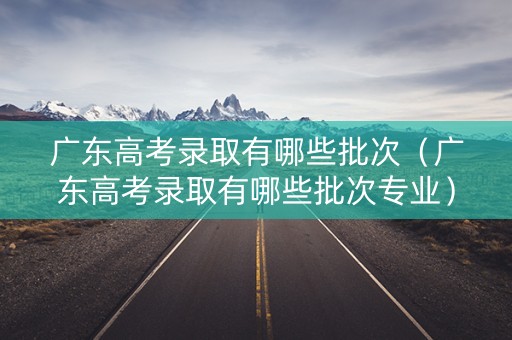 广东高考录取有哪些批次（广东高考录取有哪些批次专业）