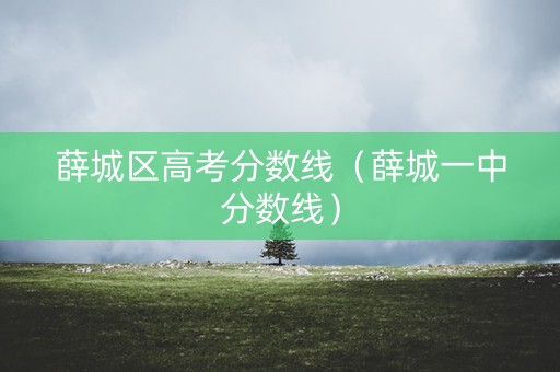 薛城区高考分数线（薛城一中分数线）