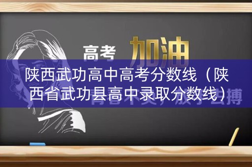 陕西武功高中高考分数线（陕西省武功县高中录取分数线）