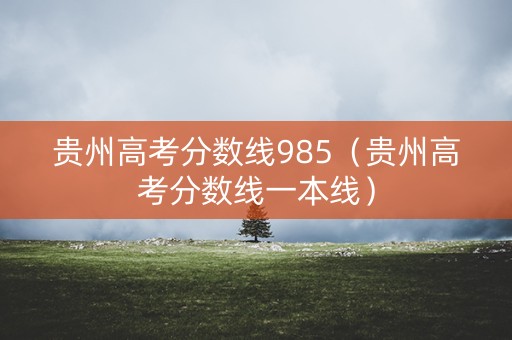 贵州高考分数线985（贵州高考分数线一本线）
