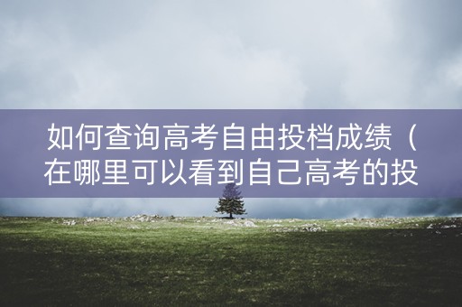 如何查询高考自由投档成绩（在哪里可以看到自己高考的投档情况）