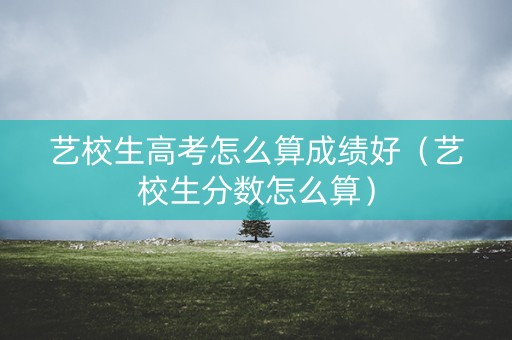 艺校生高考怎么算成绩好（艺校生分数怎么算）