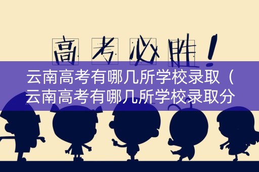 云南高考有哪几所学校录取（云南高考有哪几所学校录取分数线）