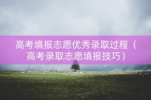 高考填报志愿优秀录取过程（高考录取志愿填报技巧）