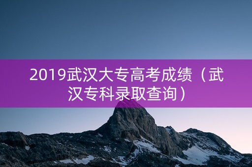 2019武汉大专高考成绩（武汉专科录取查询）