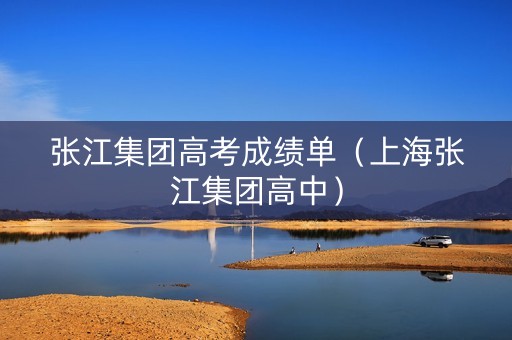 张江集团高考成绩单（上海张江集团高中）