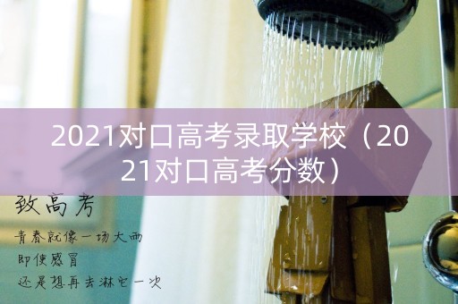 2021对口高考录取学校（2021对口高考分数）
