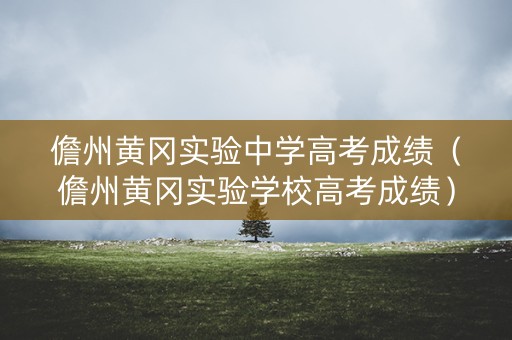 儋州黄冈实验中学高考成绩（儋州黄冈实验学校高考成绩）