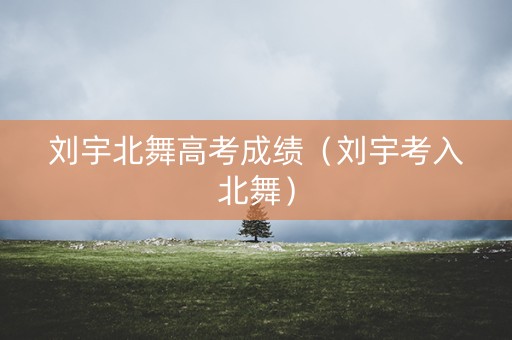 刘宇北舞高考成绩（刘宇考入北舞）