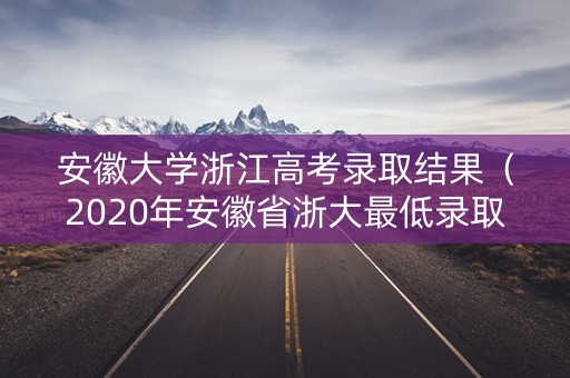 安徽大学浙江高考录取结果（2020年安徽省浙大最低录取分数线）