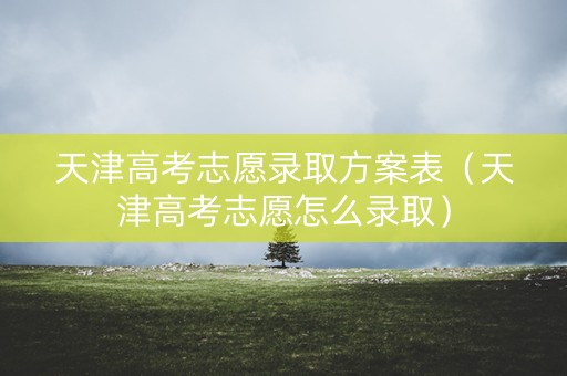 天津高考志愿录取方案表（天津高考志愿怎么录取）