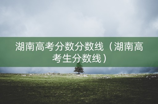 湖南高考分数分数线（湖南高考生分数线）