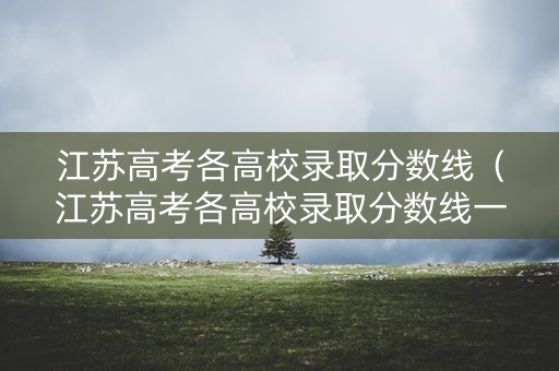江苏高考各高校录取分数线（江苏高考各高校录取分数线一览表）