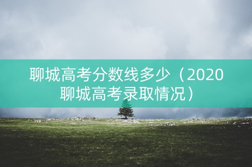 聊城高考分数线多少（2020聊城高考录取情况）