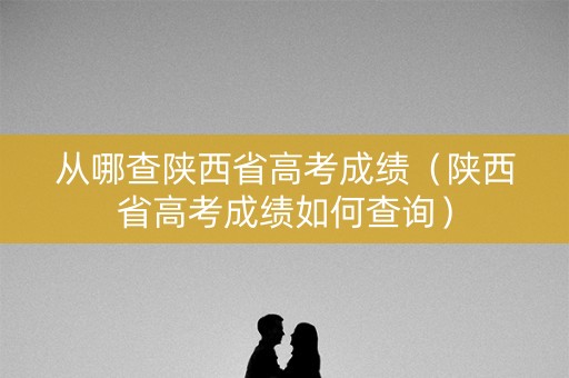 从哪查陕西省高考成绩（陕西省高考成绩如何查询）