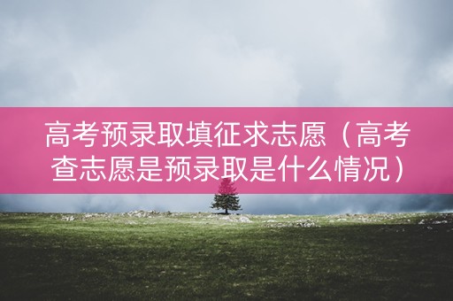 高考预录取填征求志愿（高考查志愿是预录取是什么情况）