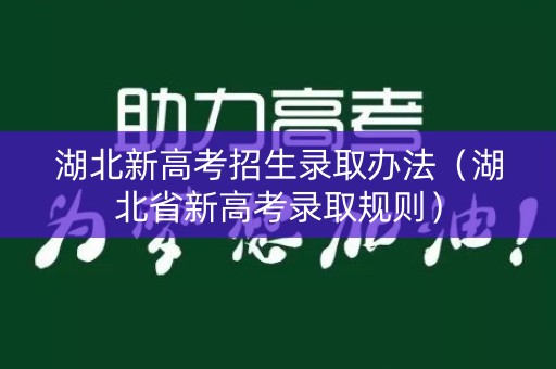 湖北新高考招生录取办法（湖北省新高考录取规则）